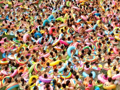 Al agua, patos