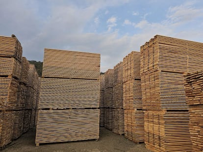 El 33% de las ganancias de la venta de madera tienen que ser reinvertidas en el bosque de la comunidad y en su conservación.