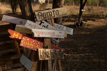 Señalamientos en el huerto de la preparatoria agroecológica.