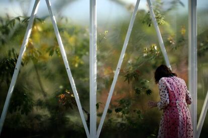 Una visitante mira a través del cristal de un invernadero.