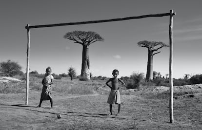 Madagascar, Avenida de los Baobabs.