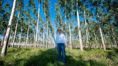 Juan Antonio Secchia recibió 600 hectáreas de tierra de su abuelo en Caazapá, un departamento ubicado en la región oriental de Paraguay.