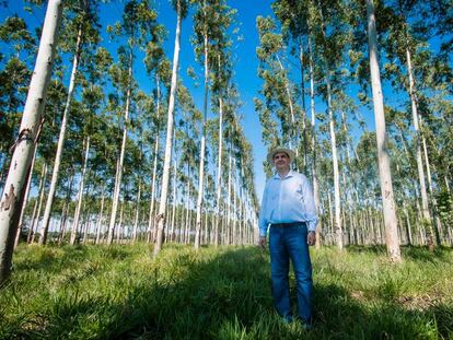 Juan Antonio Secchia recibió 600 hectáreas de tierra de su abuelo en Caazapá, un departamento ubicado en la región oriental de Paraguay.