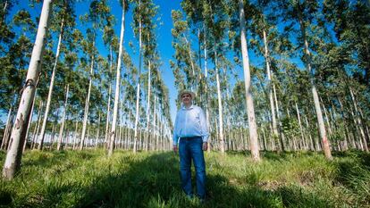 Juan Antonio Secchia recibió 600 hectáreas de tierra de su abuelo en Caazapá, un departamento ubicado en la región oriental de Paraguay.