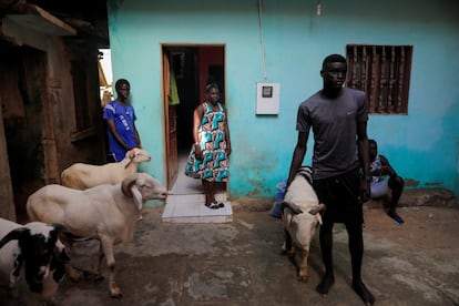 Khadjou Sambe observa a sus familiares prepararse para sacrificar ovejas para la tabaski, la segunda fiesta musulmana más importante tras el ramadán, en la que se sacrifican corderos. En Ngor, Dakar, Senegal, el 31 de julio de 2020.
