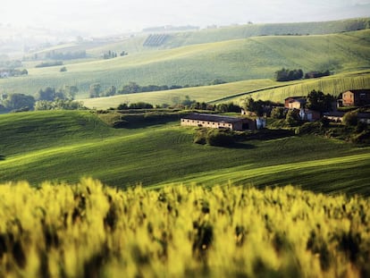 Colinas cerca de Serra de' Conti, provincia de Ancona, en la comarca italiana de Las Marcas.