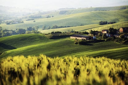 Colinas cerca de Serra de' Conti, provincia de Ancona, en la comarca italiana de Las Marcas.