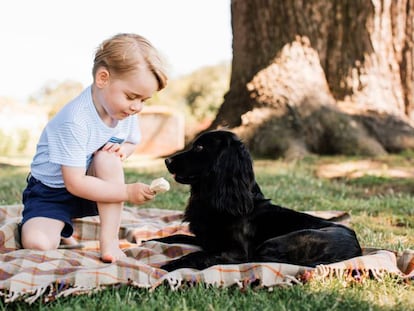 O príncipe George, em julho passado em Norfolk.