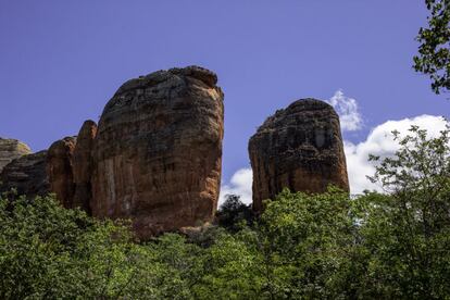 Parque Nacional da Serra da Capivara, no Piauí, que além das pinturas rupestres é um importante espaço de preservação ambiental, devido a presença de espécies como a sussuarana, tamanduá-mirim e o sagui, entre outros.