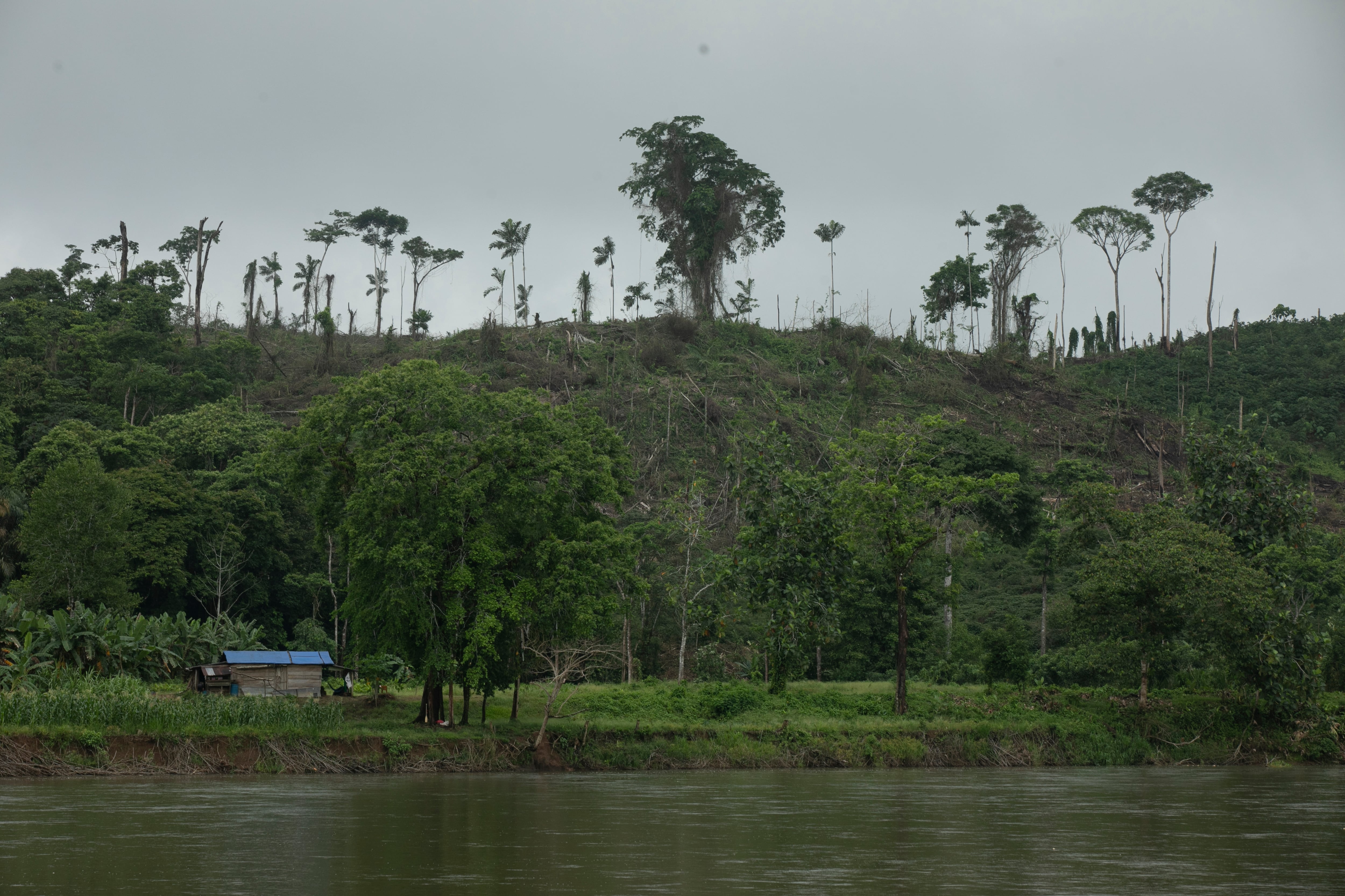 Ladera deforestada por colonos en la reserva.