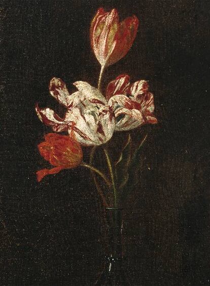 Búcaro con tulipanes, de Luciano Pedicini.