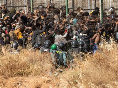 Decenas de migrantes intentaban el viernes cruzar la valla de Melilla e ingresar a Europa.