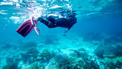 O recife de coral de Belize, uma enorme atração turística pré-pandemia.