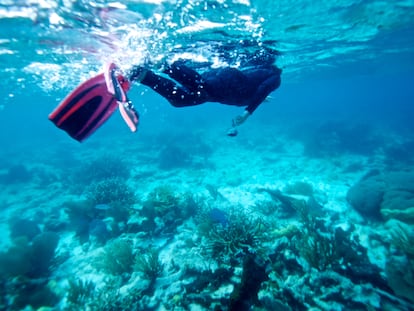 O recife de coral de Belize, uma enorme atração turística pré-pandemia.