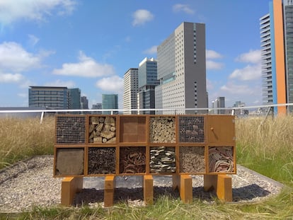 Hotel de insectos instalado en la nueva azotea del Museo de Ciencias Naturales de Barcelona.