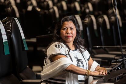 Inés Parra Juárez en el salón de plenos de la Cámara de Diputados el 18 de mayo.