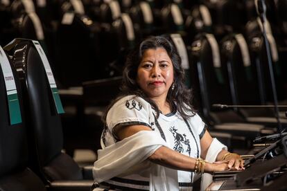 Inés Parra Juárez en el salón de plenos de la Cámara de Diputados  el 18 de mayo.