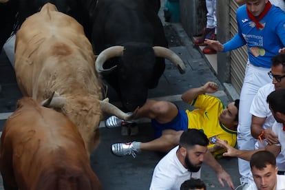 Un mozo cae ante uno de los toros de la ganadería Jandilla, este viernes.