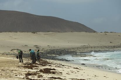 Miembros y voluntarios de la ONG WWF recogen plásticos llegados a través del mar, en la costa de La Graciosa.
