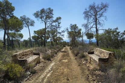 Antiguo paseo para enfermos de pecho del balneario.