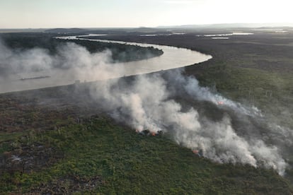 Trees in the Pantanal catch fire in Corumba, June 11, 2024.