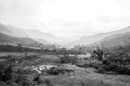 <p>Más de la mitad (60%) de territorios selváticos de Madagascar ha sido convertido en tierras de cultivo en los últimos 10 años, según un reciente informe del Centro Nacional de Investigaciones Medioambientales de Antananarivo.</p> <p>Fuera de los límites de los parques nacionales, los agricultores son los principales gestores de las tierras.</p>