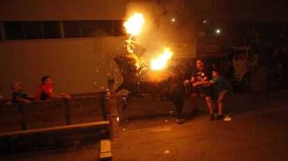 Foto de archivo de un toro embolado en Amposta (Tarragona)