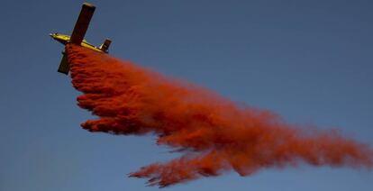 Israel hace frente a una importante escalada de incendios forestales en distintos puntos del país.