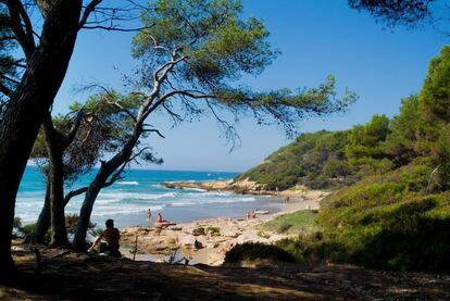 <b>CALA DE LA ROCA PLANA</b> (Tarragona). Tan atractives són les seves aigües transparents com l'entorn natural que l'abraça. La cala de la Roca Plana queda arrecerada per l'espessor vegetal del Bosc de la Marquesa, un paratge preciós a mig camí de Tarragona i del castell de Tamarit. Situada a l'espai natural de la Punta de la Móra, la Roca Plana, igual com la seva veïna Cala Fonda o Waikiki, queda allunyada de les massificacions, fins i tot en temporada alta.