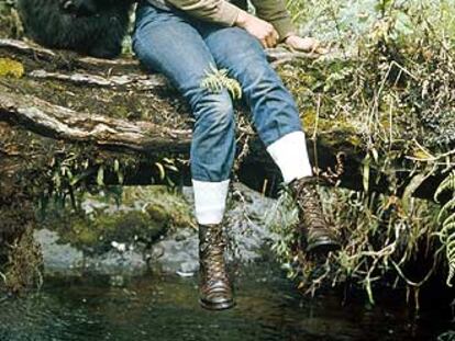 Dian Fossey, cuyas investigaciones sobre gorilas financió National Geographic.