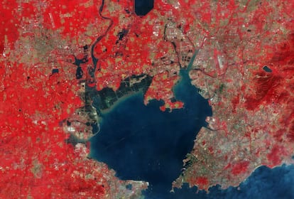 Esta imagen de satélite tomada sobre Quingdao (China) muestra en rojo toda la tierra fértil que hay en la zona. En la foto se pueden ver, además, las piscifactorías, los barcos entrando y saliendo de la bahía y el puente que la cruza de extremo a extremo. En 2012, este puente fue premiado con el Récord Guinness del Mundo por ser el puente más largo construido sobre agua, con una longitud total de 26 kilómetros. La imagen fue tomada por el satélite Sentinel-2A, que lleva en órbita desde junio y se encarga de transmitir información sobre la vegetación y el agua tanto en la costa como en el interior.