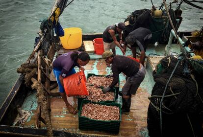 Pescadores preparándose para el acopio de marisco en el Puerto de San Juan del Sur.