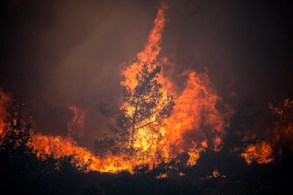 Incendio forestal cerca a la localidad de Vati, en la isla de Rodas, este martes.   