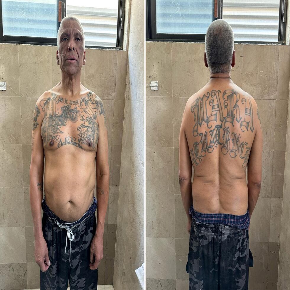 Jose Wilfredo Ayala: Mara Salvatrucha kingpin handed to US authorities  after arrest in Mexico | International | EL PAÍS English, image size:980x980