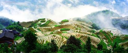 Las terrazas de cultivo arrocero en China se sitúan principalmente en la cadena montañosa al sur del río Yangtsé. En esta zona, hay lluvias abundantes y terrenos muy accidentados. En la imagen, arrozales en el condado de Longsheng.