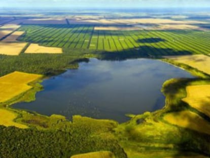 La explotaci&oacute;n agr&iacute;cola argentina La Moraleja. 