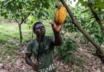 Azaguie, Ivory Coast