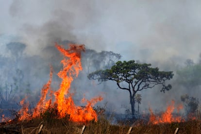 incendio en brasil
