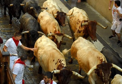 Toros de la ganadería de José Escolar Gil durante su recorrido por las calles de Pamplona.