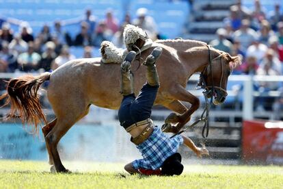 Un jinete cae del caballo durante las celebraciones de la semana criolla en Montevideo (Uruguay).