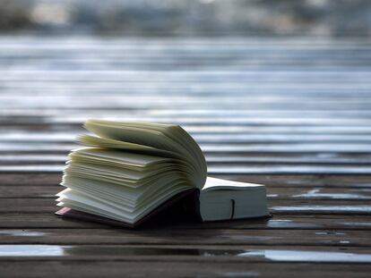 Libros para entender a las mujeres