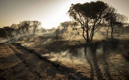 Paraje de Cuesta Maneli tras el incendio declarado el pasado sábado en el paraje "La Peñuela" de Moguer (Huelva) y que afecta al entorno del Espacio Natural de Doñana.