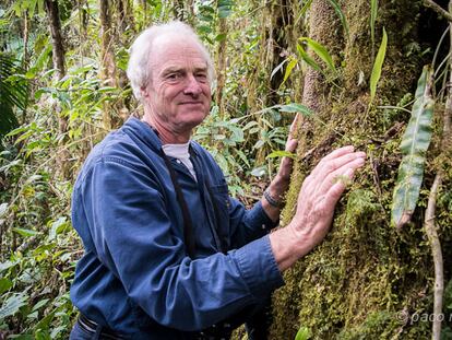 La extraña pareja que compra bosques para alimentar colibríes