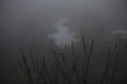 Páramo en el Parque Nacional de Chingaza, en Colombia