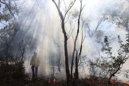 Un bombero camina a través de una pared de humo durante una quema controlada en Sídney (Australia).