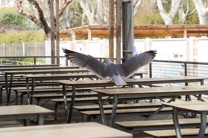 Un restaurant buit del Zoo de Barcelona.