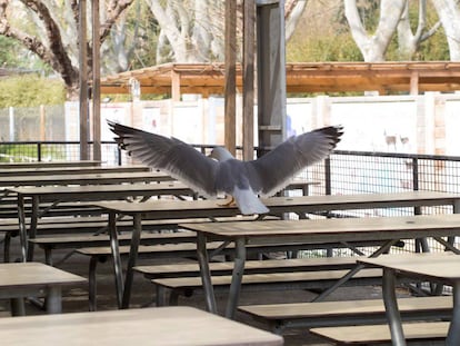 Un restaurant buit del Zoo de Barcelona.