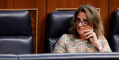 Teresa Ribera, vicepresidenta para laTransición Ecológica.