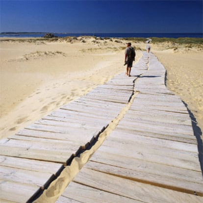 Una pasarela de madera atraviesa el parque natural del complejo dunar de Corrubedo, un espacio protegido de 996 hectreas, en el municipio coru?s de Ribeira.