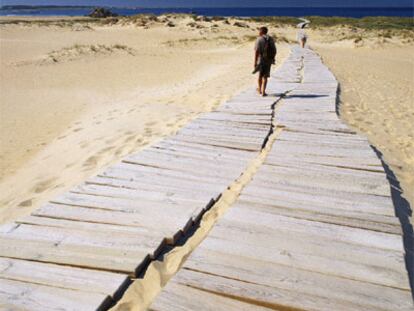 Una pasarela de madera atraviesa el parque natural del complejo dunar de Corrubedo, un espacio protegido de 996 hectáreas, en el municipio coruñés de Ribeira.